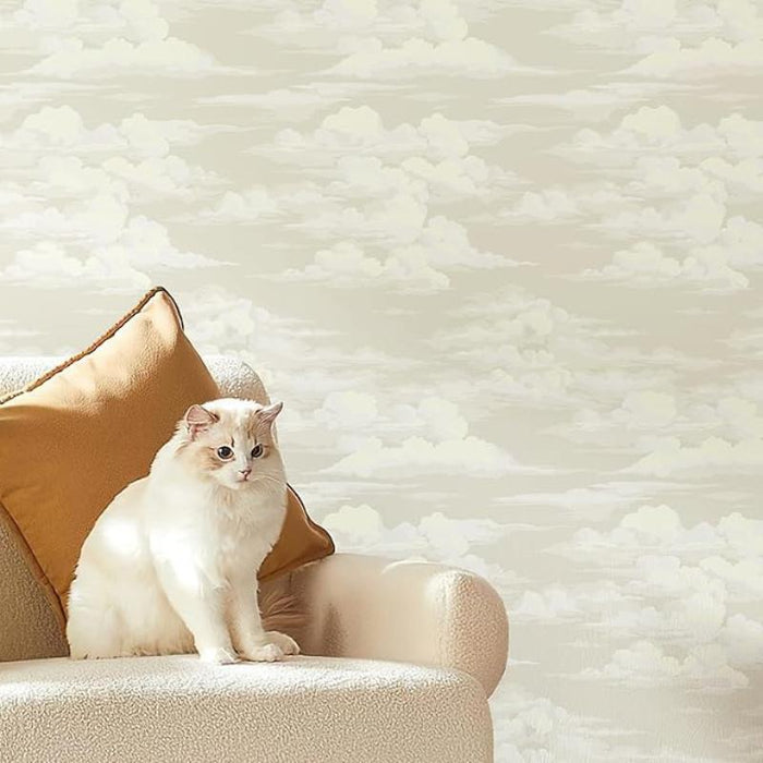 Peel And Stick Cloud Wallpaper For Home Decor