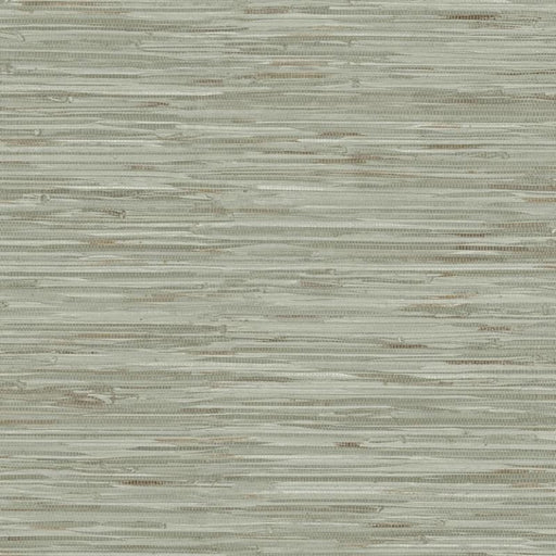 Cream Grassweave Peel And Stick Wallpaper