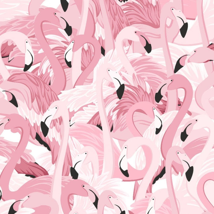 Flamingo Removable Wallpaper