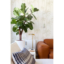Palm Tree Silhouette Wallpaper