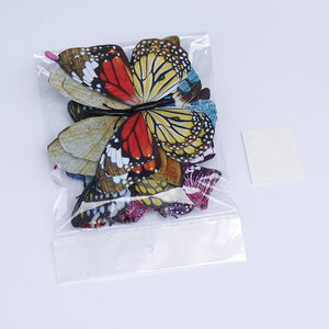 Luminous Butterfly Sticker For Home Decor