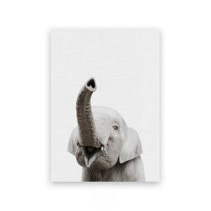 Decorative Animal Wall Posters