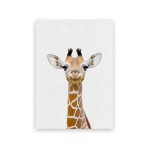Decorative Animal Wall Posters