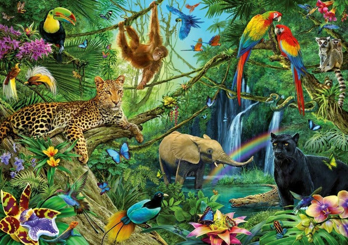 3D Multicolor Rainforest Wallpaper