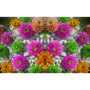 Symmetric Color-Filled Flower Scenery Wallpaper