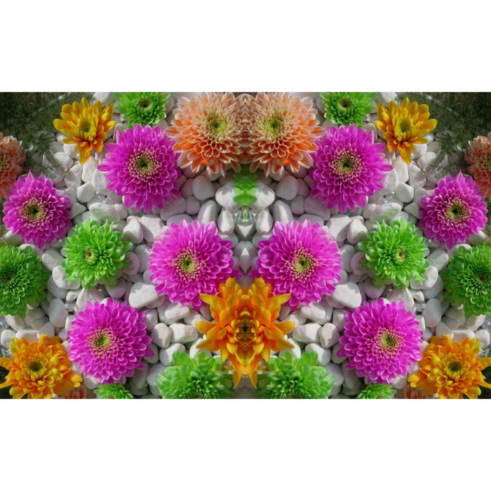 Symmetric Color-Filled Flower Scenery Wallpaper