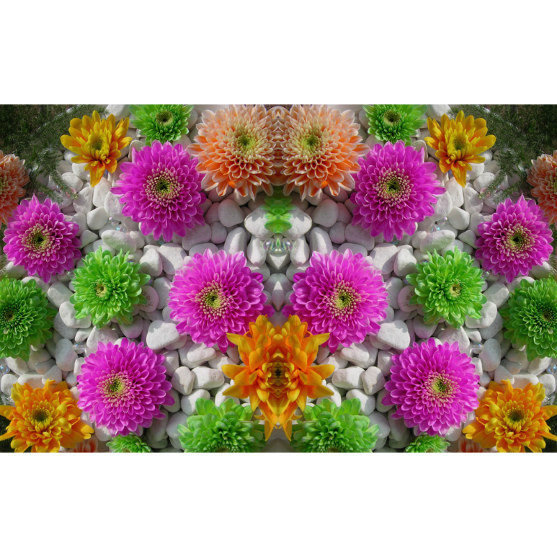 Symmetric Color-Filled Flower Scenery Wallpaper