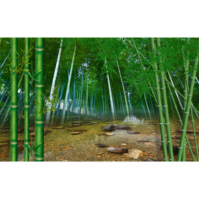 Natural Bamboo Forest Pond Wallpaper