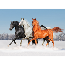 Winter Horse Trio In The Snow Wallpaper