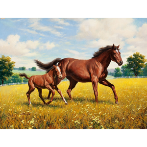 Farmland Horse & Kin Trotting Wallpaper