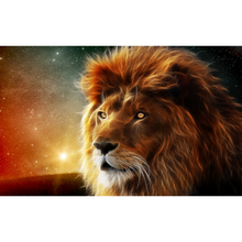 Sunset Starlit Lion Wallpaper