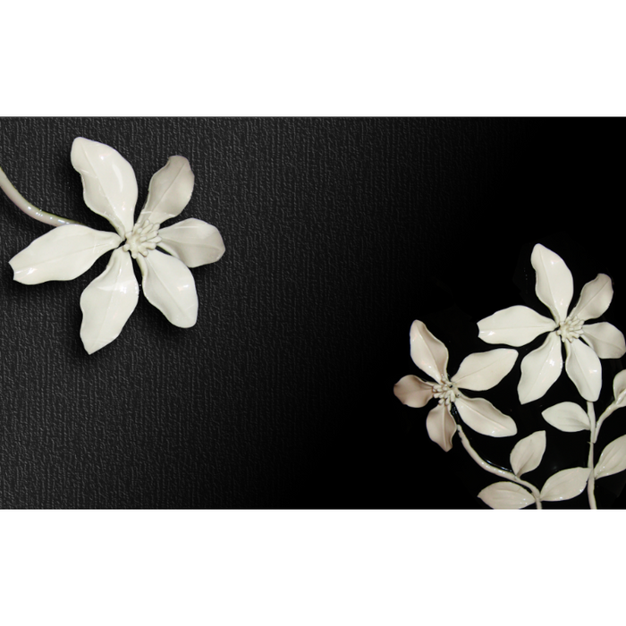 Black Wall & Simple White Flowers Wallpaper