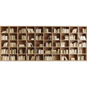 Library Book Shelf Wallpaper
