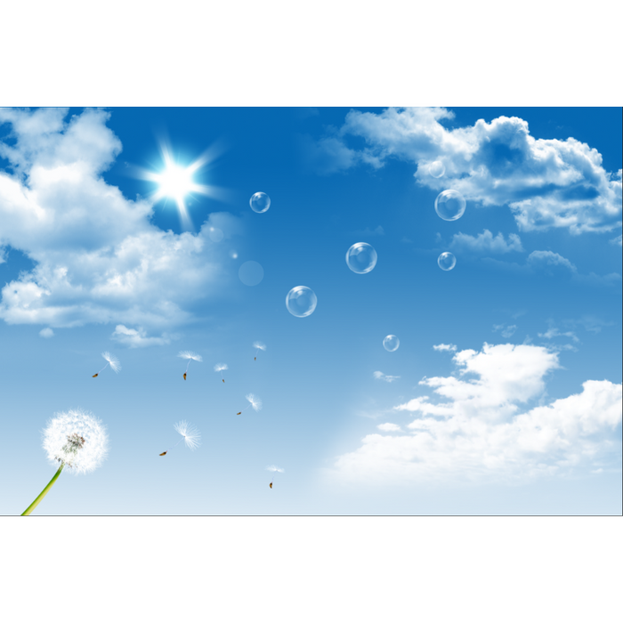 Dandelion & Bubbles In The Blue Sky Wallpaper