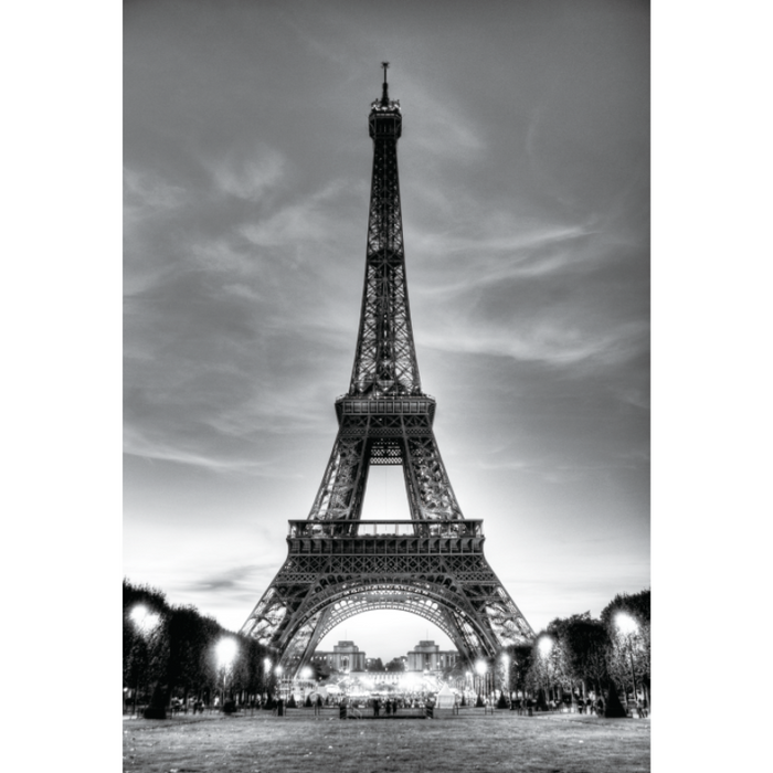 Black & White Eifel Tower Scenery Wallpaper