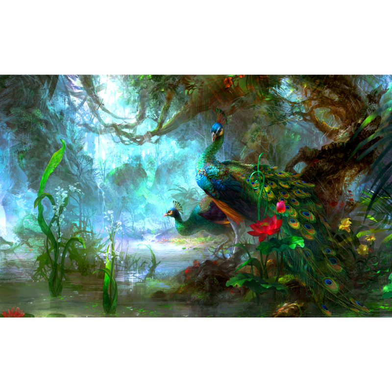 Rainforest Colorful Peacock Wallpaper