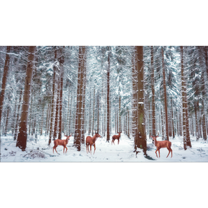 Winter Forest Deer Community Wallpaper