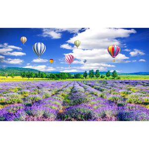 Natural Purple Lavender Field Hot Air Balloons Wallpaper