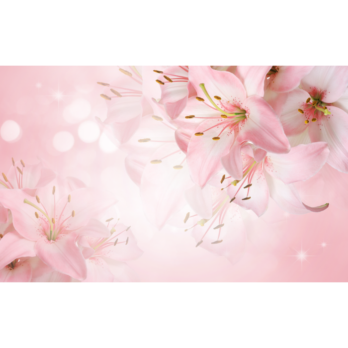 Gorgeous Pink Wildflower Petals Dancing Wallpaper