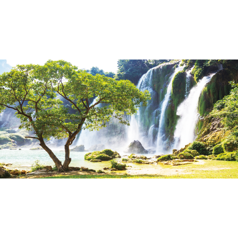 Majestic Waterfall Lakeside Tree Scenery Wallpaper
