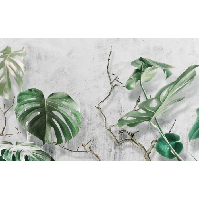 Abstract Natural Green Banana Leaves Wallpaper