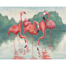 Close-Up Flamingo Family Portrait Wallpaper