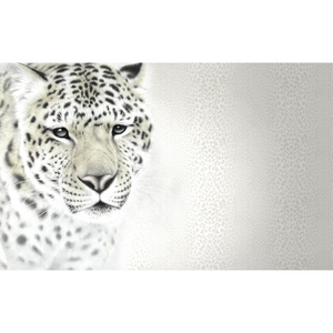 Simple Background Snow Leopard Wallpaper