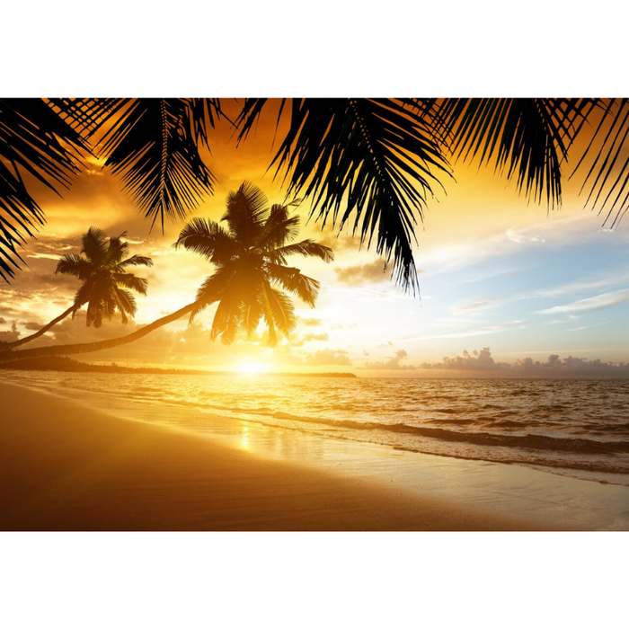 Gorgeous Palm Tree Beachside Sunset View Wallpaper