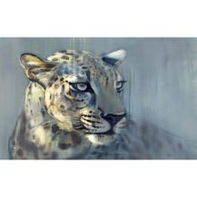 Painted Snow Leopard Close-Up Wallpaper