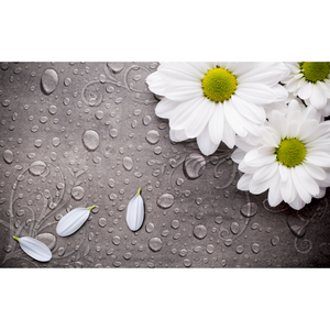 Simple Raindrop White Flower Wallpaper