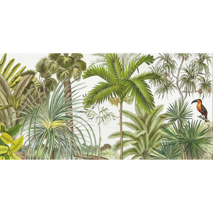 Natural Tropical Rainforest Habitat Wallpaper