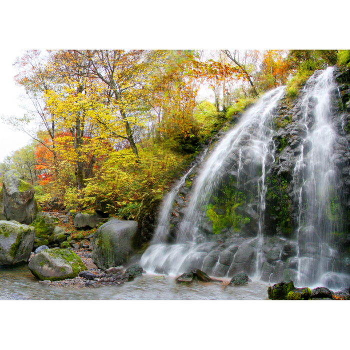 Elegant Autumn Forest Waterfall Wallpaper