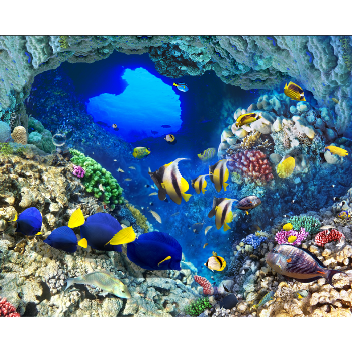 Underwater Cavern Of Color Wallpaper