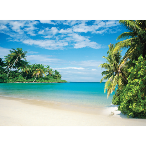 Seaside Palm Tree Beach Wallpaper