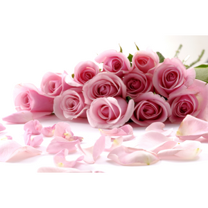 Quaint Pink Rose Bouquet Wallpaper