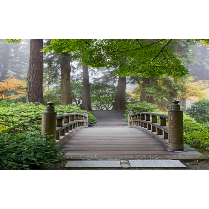 Natural Forest Bridge Walkway Wallpaper