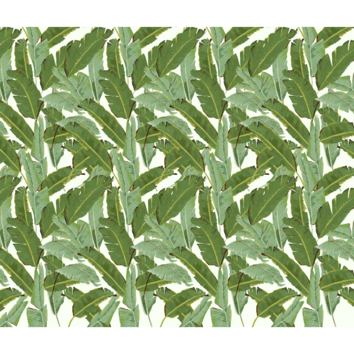 Simplistic Green Tropical Leaf Bunches Wallpaper