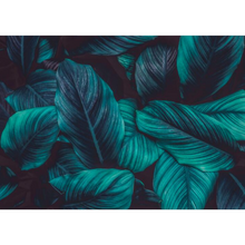 Tropical Pattern Leaves Wallpaper