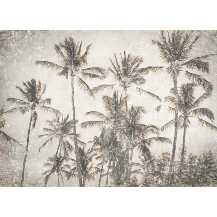 Gray Palm Trees Wallpaper
