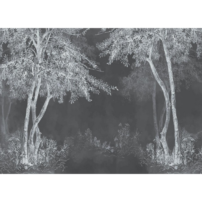 Trees At Night Wallpaper