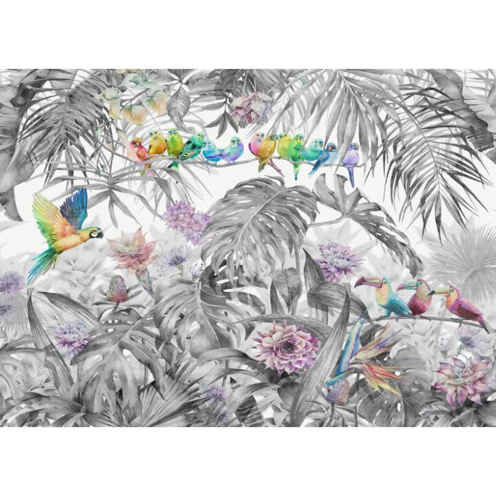 Multicolor Birds Design Wallpaper