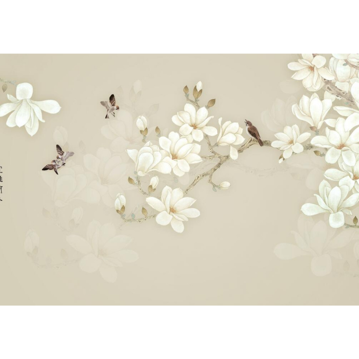 Cute White Flowers Wallpaper