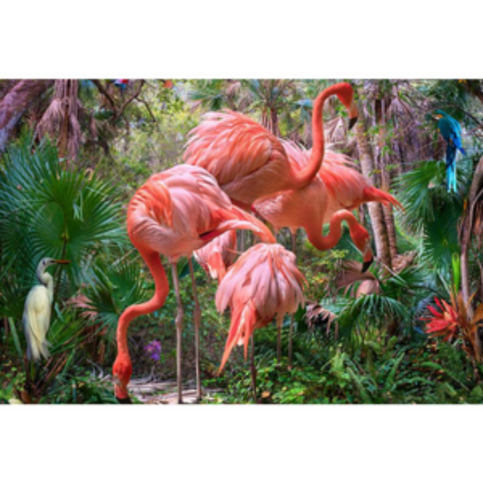 Flamingos In The Jungle Wallpaper