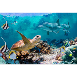 Aquatic Life Wallpaper