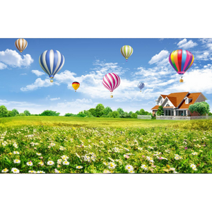 Hot-Air Balloon Landscape Wallpaper