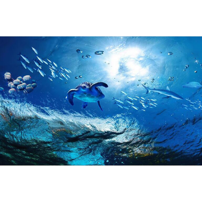 Aquatic Ecosystem Wallpaper