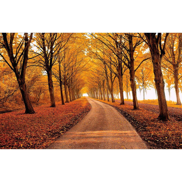 Beautiful Autumn Scenery Wallpaper