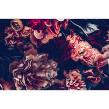Closeup Of Stunning Flowers Wallpaper