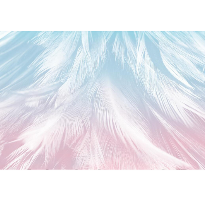 Feather Texture Wallpaper