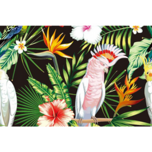Precious Exotic Birds Wallpaper